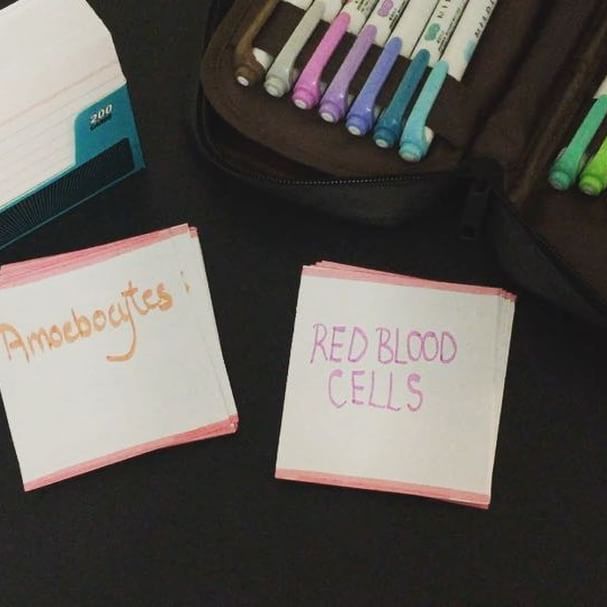 June 6th // Hey guys, wanted to give a bit of an insight into how I study, and one of my favourite things to do is flash cards! So these are for biology of Animals which is marked but the red border, and then each unit has its on colour, ie purple is physiology, orange is invertebrates and so on! I've made these from cutting normal palm cards in half. Hope this is helpful in some way!! 📝🌿
Good luck to everyone who has exams right now, I feel you 😴 📸: original 
#study #student #studyblr #studyspo #studygram #studymotivation #organised #organisation #exams #examprep #flashcards #midliners #stationary #stationeryaddict #bujo - Elena💝🌟🐬 (@studysavvy)