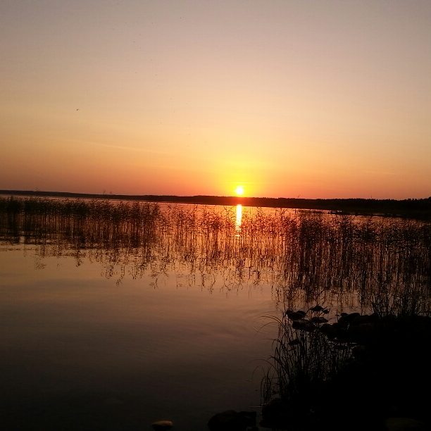 Kaunis ilta #Marjalacity'ssä 💛💛
#joensuu #auringonlasku #sunset #höytiäinen #visitfinland #visitkarelia - Karjalan Helmi (@suvij_)