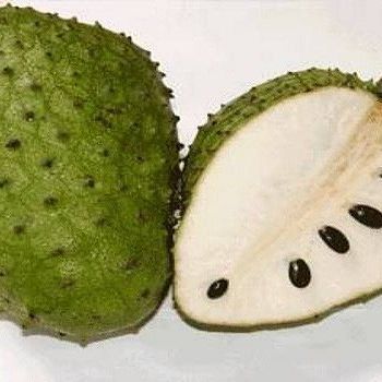 How many people have heard of Graviola or Soursop fruit? Probably not a lot id imagine. 
Graviola is a fruit native to the Amazon which is essentially a free radical scavenger, that promotes healthy cells. Studies have shown that it's actually more effective than Chemotherapy in killing and preventing the regrowth of cancerous cells in human beings.
This is just another example of the Amazon being Earth's own personal pharmacy. Most of our illnesses and ailments can be cured by using natural means, and most of those natural means can be found there. Amazingly enough, only around 25% of what exists in the Amazon has been discovered because if it's size and density of vegetation.
This is also another example of one of my founding principles in my Destito Fit Diet. Health comes in through the mouth, and the more natural it is, the more a true remedy it is.
If you haven't messaged me about trying it out yet, you're only wasting precious time.
#positivethoughts #visualization #DestitoFit #nutrition #Amazon #Gym #MMA #UFC #JiuJitsu #MuayThai #abs #motivation #aesthetics #GoodVibes #workout #fitness #muscle #bodybuilding #NPC #fitfam #FitLife #IFBB #GymLife #personaltrainer #onlinecoaching #fitspo #physique #instaheal - Макс Матжиков (@destito_fit_online)