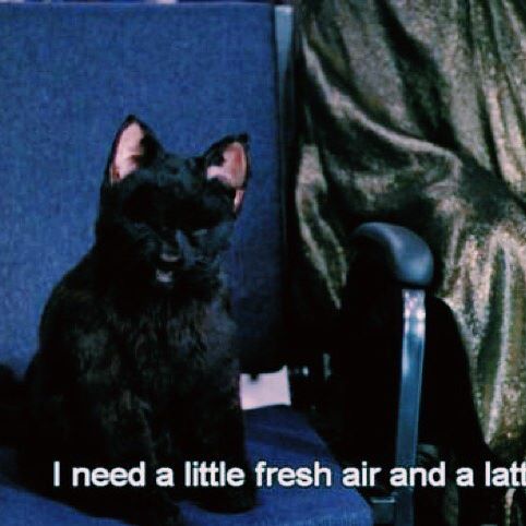 Mood 🌚 #rfr #r4r #recent4recent #recentforrecent #lfl #l4l #like4like #likeforlike #spam4spam #spamforspam #mood #salemsaberhagen #sabrinatheteenagewitch #vsco - arianagrande✨ (@randiriggleman)