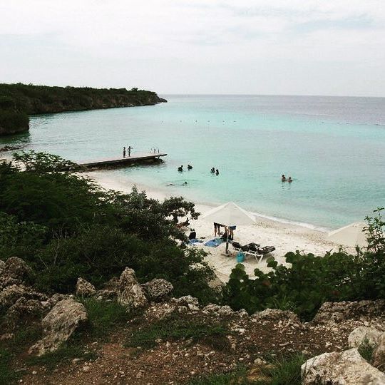 White sand, blue sky, blue water!! 💦☀️ What else do you need?! 😍
#curacao #cura?ao #dutchantilles #island #islandlife #caribbean #caribbeansea #ocean #beach #beachlife #beautifuldestinations #paradise #passionpassport #lonelyplanet #bbctravel #explore #exploringtheglobe #travel #traveler #travelling #travelingram #travelgram #instago #instapic #instagood #instagram #instalike #instadaily #instatravel #instapassport - Balicosy Villas (@janetkleene1)
