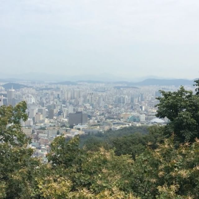 Namsan in summer.... #throwback #seoul - Wonwoo (@mewtatanegara)