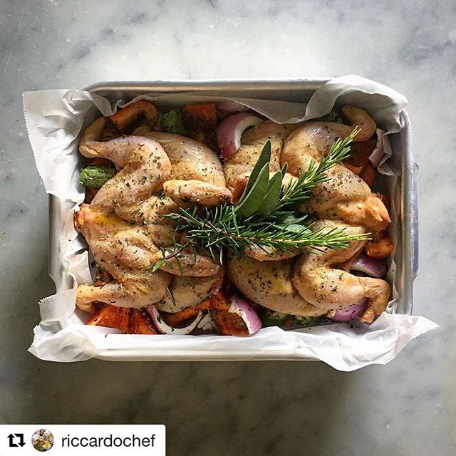 #repost #repostapp Grazie @riccardochef per #ricetta e #picoftheday ma anche per tutte le idee condivise assieme a #FIC @federcuochi alla #METROAcademy di #METRO #SanDonato con il #galletto protagonista 😊🐔 #gallettovallespluga @gallettovallespluga #ricette #ricettecolgalletto #ricetteitaliane - Salvo Tinnirello (@gallettovallespluga)