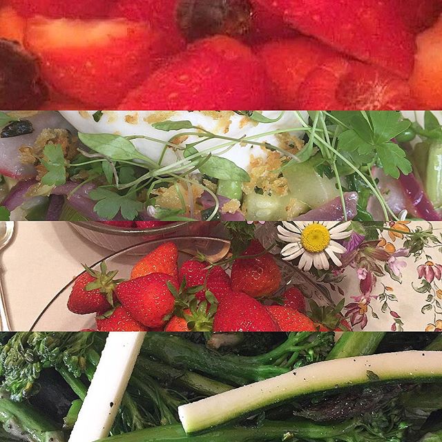 Summer is gorgeous ❤️
#summer #summer2017 #gorgeous #vibes #summerfood #fresh #photooftheday #bestoftheday #foodpics #inspiration #nutrition #health #healthy #healthyfood #healthyeating #foodporn #food #foodie #chef #cheflife #chefstyle #style #wow #beautiful #love #loveyourself #lovethis #fruit #vegetables #delicious - Вязаные купальники! (@nutritiouslynicky)