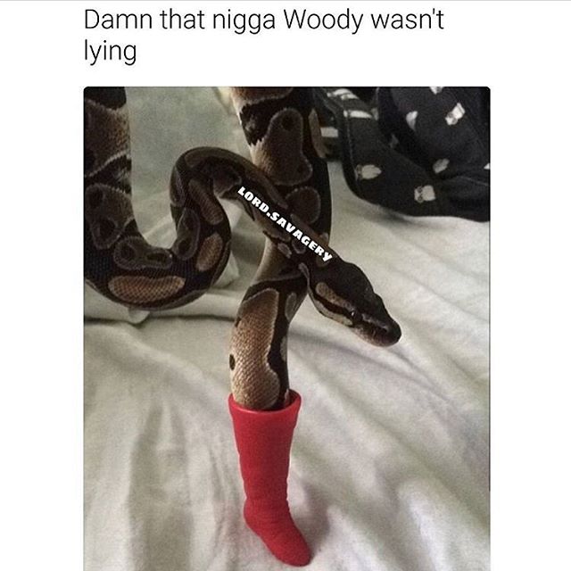 .tag someone 🦌 .
*
*
*
Follow @ratinkhakis .
&
Anime @animeinwinter .
!
!
❄️{Snowgang}❄️
%
%
%
#memes#meme#fucked#me#vro#boy#fuckboy#movie#bed#country#text#people#men#trap#tv#follow#video#kermit#cartoon#rat#toast#marijuana#show#anime#girl#white#fight#bitch#kids#idk - FukBoyz (@ratinkhakis)