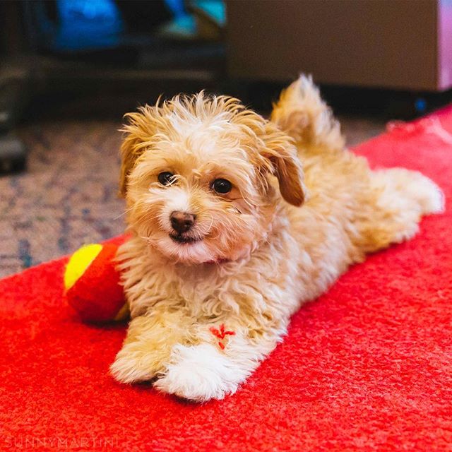 #TGIF amirite? | Photographed 04.11.17 - CINO & CORAL (@sunnymartini)