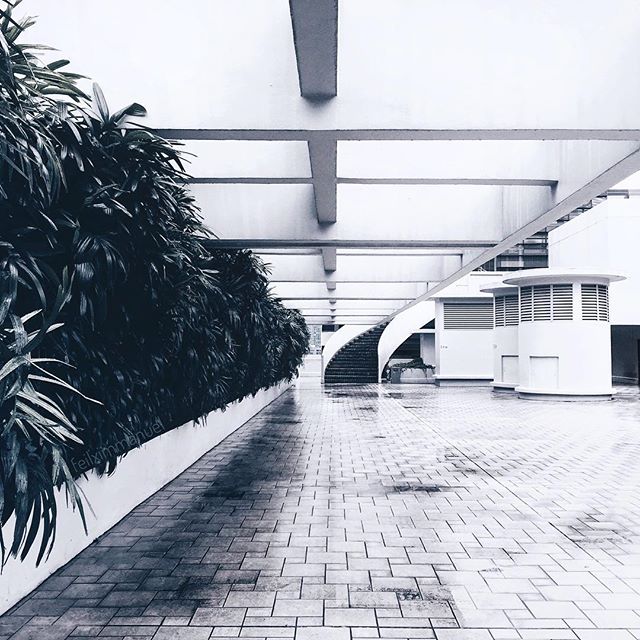 || I am an architect of the days that have not yet happened. - Feil Immanuel (@feilximmanuel)