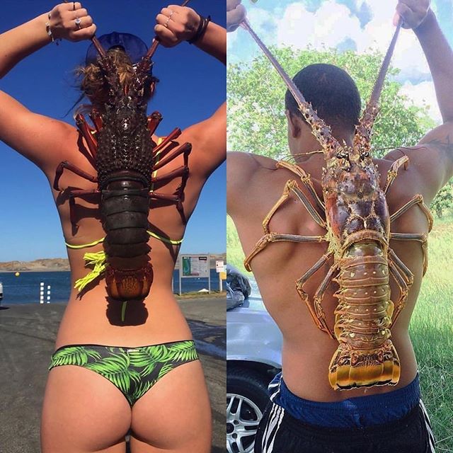 Left or right?
-
Btw any idea what those things are?😲
-
#miscellaneous📗 | @theelitemind
-
Via @lookforcolor
-
📸: @p0ppy_mac & unknown - Max Muscle Visalia (@theelitemind)