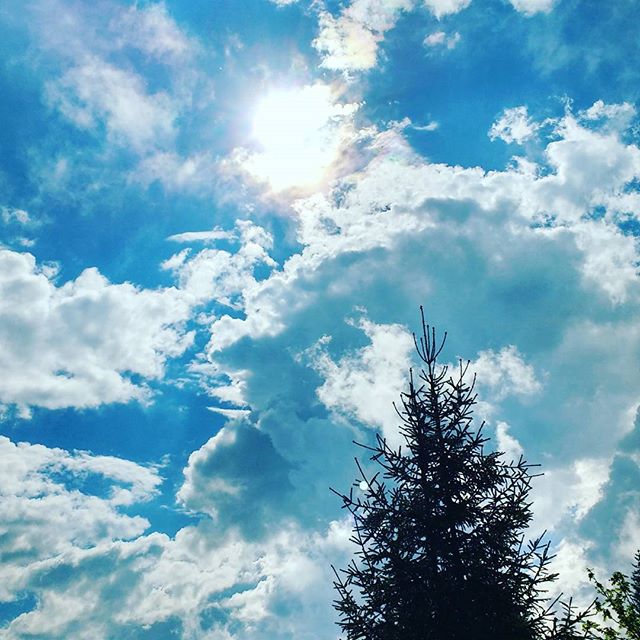 #sun #sonne #outdoors #nature #forrest #hiking #woods #draußen #natur #wald #wandern #unterwegs #wanderlust #ausflug #holiday #naturliebhaber #colorful #bunt  #natureloversofinstagram #naturlover #trees #bäume #draussenzuhause #landschaft #landscape #summer #sommer #clouds #wolken #sky - Hrodberht Turambar (@liesellottle)