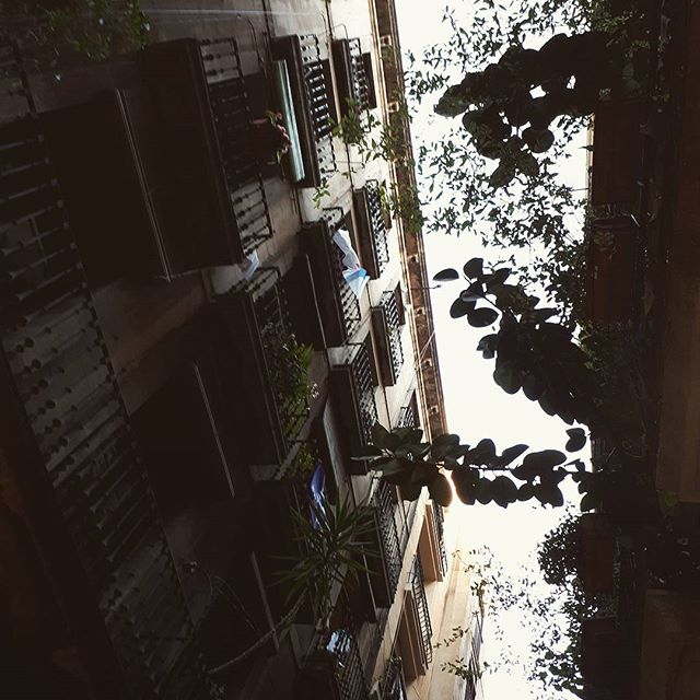 Gotic. #barcelona #city #barrigotic #architecture #building #balcony #greenery #plants #sky #eyes #up - Silvia Gu (@lulovestherain)