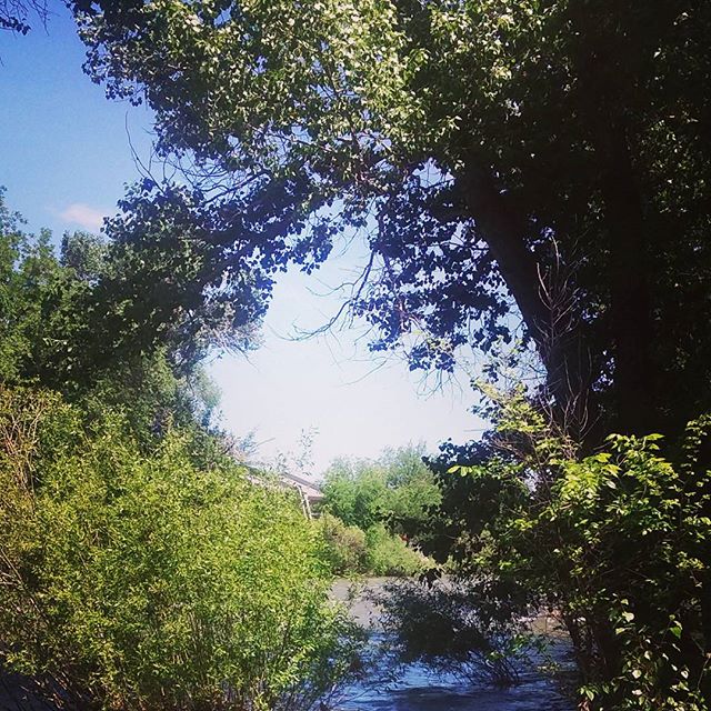 Truckee River, Reno #truckeeriver #river #reno #nevada #sunshine #beautifulday #beautifulskies #scenery #gorgeous #photography #photographer #naturephotography #naturesbeauty #natureshots #getoutside #outdoors #beautiful #water #colors #trees #downtown #city #beauty #sunnydays #walk #exercise #fitness #fitdad - Living_m.j. ✌🏼️💕 (@12thfantoo)