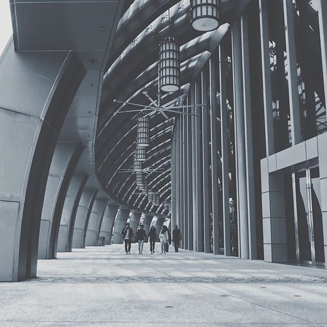 Stand together, don't forget who you are. Band together. #blackandwhitephoto #black #white #singapore #asia #bandtogether #together #sentosa #blackandwhitephotography #blackandwhite #travel #travelphotography #photography #photographer #photographyislife #SonyRX #SonyRXMoments #SonyMalaysia_RX #RXthroughmyeyes #SonyRX100M4 @sonymalaysia - yUMa (@justinjustdoit)