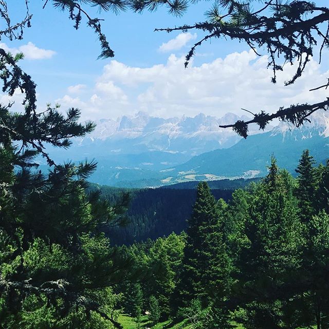 #돌로미티 #산책길 
#dolomiti #passooclini 
#돌로미티여행 #이탈리아여행 
#travelstagram - Made To Travel (@gemmaryu_photo)