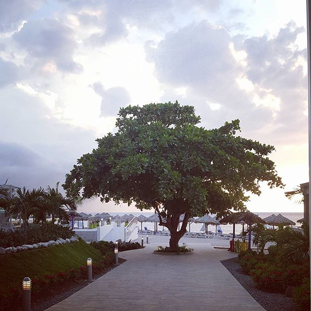 Sunset in paradise after a long day discovering the island. Every sunset on this beach is a piece of art itself. #jamaica #travelgram #vacationideas #amazingplace #ochorios #montegobay #aufreisen - Spiritual Journey of Leonians (@em.edie)