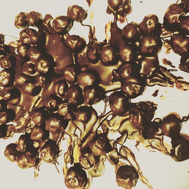 Avellanas con chocolate #avellanas #avellanasconchocolate #hazelnut #hazelnutchocolate #chocolate #schokolade #haselnuss #haselnussschokolade #instachocolate #amococinar #handmade #hechoconamor - Accesorios Carol Granadillo (@ladytron_uk)