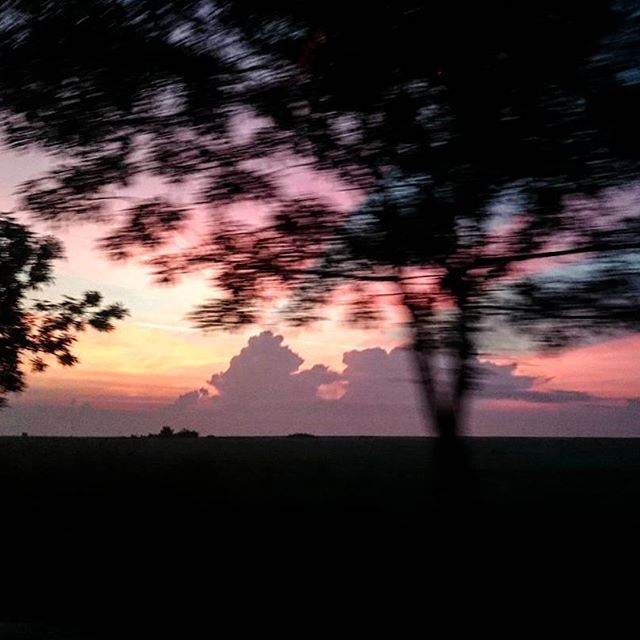 #morning #colors #goodmorning #roadtrip #gofishing #inmotion #selehas #sonyz3 #picofthemoment #instasunrise #sunrise #goodvibe #instapic #photoshoot #photography - cakes and cookies (@selehascatas)