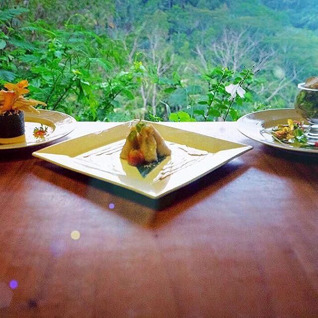 Vegan full force + nature at @basanta_agro_bali 🍴🌿🌳☘️
.
.
W: www.basantaagrobali.com | FB Acc: Basanta Bali | FB Page: Basanta Agro Organic | IG: @basanta_agro_bali | TripAdvisor: Basanta Agro Organic | Google: Basanta Agro Organic | 
#nature #basantaagroorganic #fresh #organic #sweet #dessertstagram #dessert #vegetarian #vegan #restaurant #bali #indonesia #food #foodie #travel #instafood #foodpics #healthyfood #foodgasm #destination #eat #healthy #eating #healthyfood #holiday #vegetable #fruits #lunch #salad - Bhavya Narang (@basanta_agro_bali)