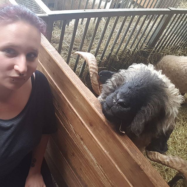 I found a new best friend on my graduation trip 😂❤ #graduationtrip #tirol #austria #bestfriends #aries #animal #alpzoo #sunshine  #purpelhair #pierced #inkedgirl #tattoos #österreich #alpenzoo #widder #abschlussfahrt - Emily (@katticookiecore)