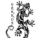 fotógrafo picsart (@gekkon_photo)