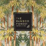 @THTHNGG (@the_bamboo_forest)