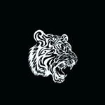 The Loop Boutique (@itsazntiger)