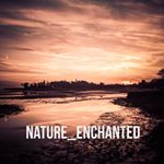Subodh Sankar (@nature_enchanted)