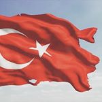 Jeito de Menina (@turkey.mood)